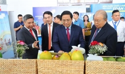 hau giang quyet tam no luc khong de lo nhip don dau cac lan song dau tu