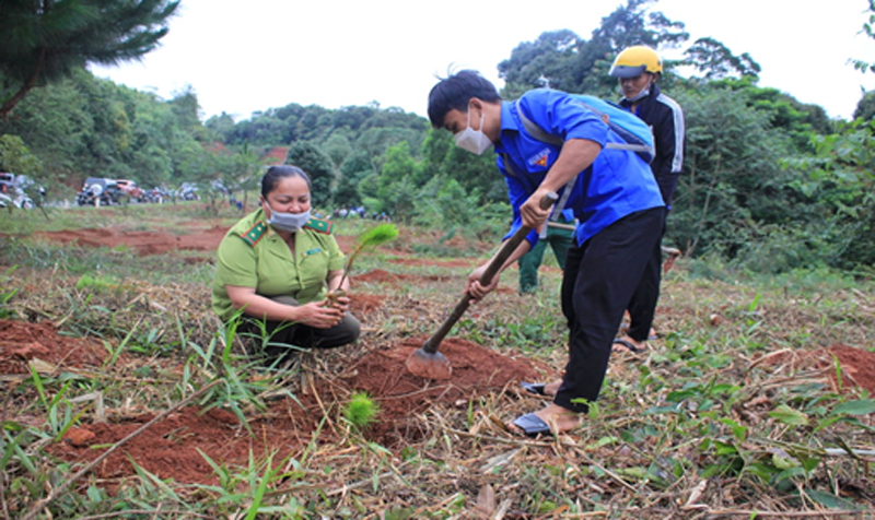 Kon Tum: Phát động trồng cây xanh tại đường đèo Măng Đen