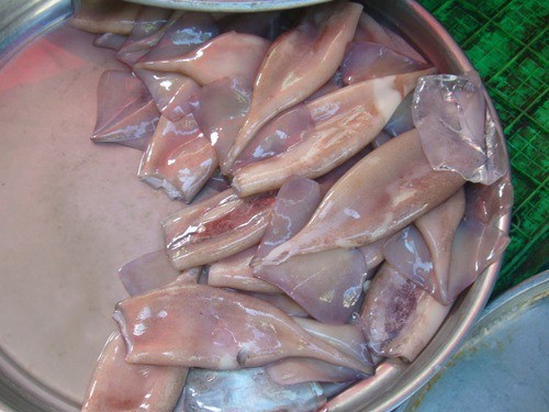 mực lạ, mực kh&amp;ocirc;ng đầu