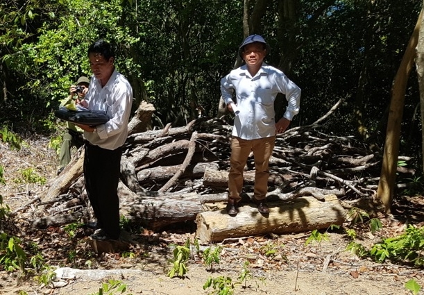 &amp;amp;Ocirc;ng Mạnh khẳng định trong qu&amp;amp;aacute; tr&amp;amp;igrave;nh dọn dẹp &amp;amp;ocirc;ng đ&amp;amp;atilde; cho cắt kh&amp;amp;uacute;c v&amp;amp;agrave; xếp gọn ng&amp;amp;agrave;ng b&amp;amp;ecirc;n cạnh. Tất cả c&amp;amp;aacute;c kh&amp;amp;uacute;c gỗ đều c&amp;amp;ograve;n nguy&amp;amp;ecirc;n ở tại hiện trường, c&amp;amp;aacute;c đo&amp;amp;agrave;n kiểm tra cũng đ&amp;amp;atilde; đo đếm, chứ t&amp;amp;ocirc;i chưa hề vận chuyển một kh&amp;amp;uacute;c gỗ, thậm tr&amp;amp;iacute; l&amp;amp;agrave; một mẩu gỗ nhỏ n&amp;amp;agrave;o ra khỏi rừng.