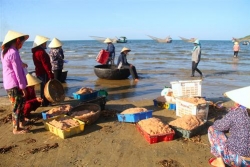 ha tinh ngu dan trung dam mua ruoc bien