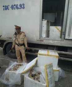 thanh hoa hon 3 ta noi tang thoi chuan bi len ban nhau bi bat giu