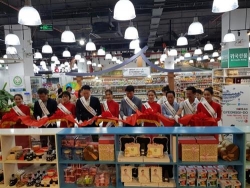 nhieu san pham duoc gioi thieu tai tuan le am thuc tinh gyeonggi do