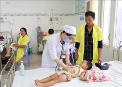 bo y te kiem tra cong tac phong chong sot xuat huyet tai ninh thuan