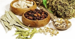sap dien ra hoi nghi y hoc co truyen tieu vung song me kong