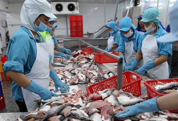 1000 doanh nghiệp tại ĐBSCL giải thể do ảnh hưởng dịch Covid-19