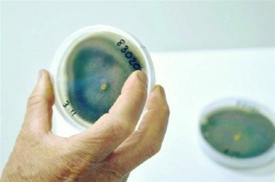 giu co2 trong dat la mot cong cu chong lai bien doi khi hau