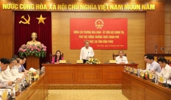 vinh phuc can day nhanh tien do giai ngan von dau tu cong