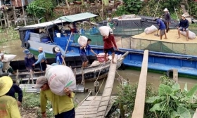 canh bao ve nguon lay nhiem covid 19 tu cong nhan khuan vac o an giang