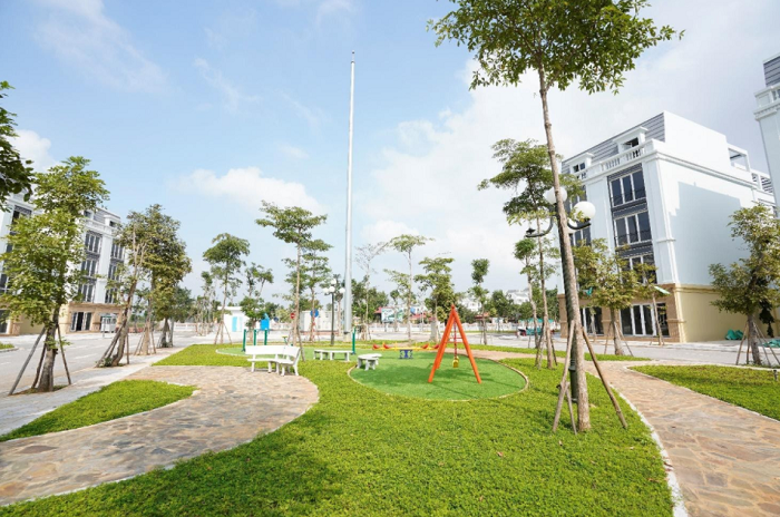 Tết này bạn có trở về nhà?