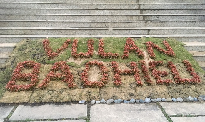 Lễ Vu Lan - B&ocirc;ng hồng tặng mẹ