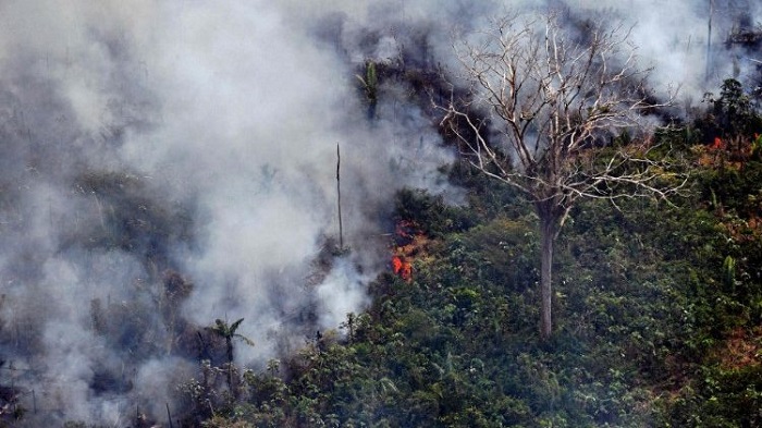 Khói cháy rừng liên quan đến tỷ lệ tử vong COVID-19 cao hơn