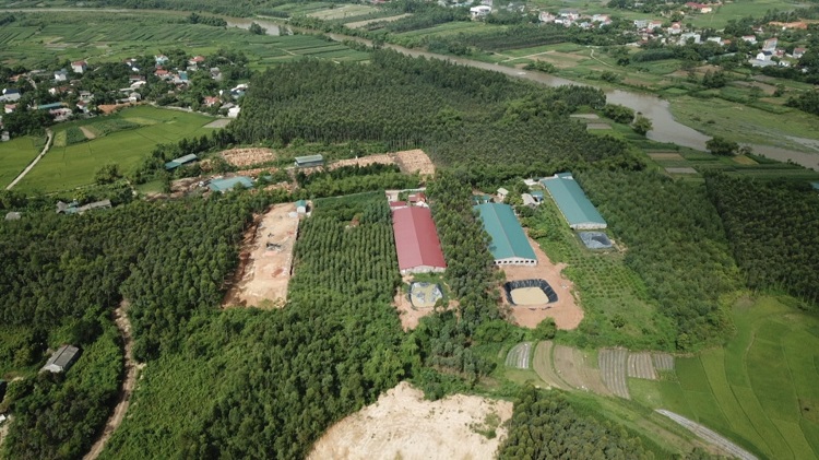 Tam Đảo (Vĩnh Phúc): Có hay không việc bao che, buông lỏng quản lý xây dựng trang trại lợn trái phép trên đất lâm nghiệp?