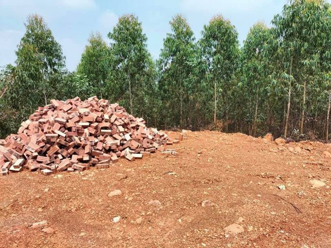 Nguy cơ mất c&acirc;n bằng sinh th&aacute;i do khai th&aacute;c rừng ph&ograve;ng hộ bừa b&atilde;i