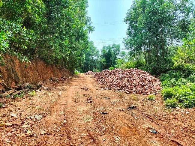 Nguy cơ mất c&acirc;n bằng sinh th&aacute;i do khai th&aacute;c rừng ph&ograve;ng hộ bừa b&atilde;i