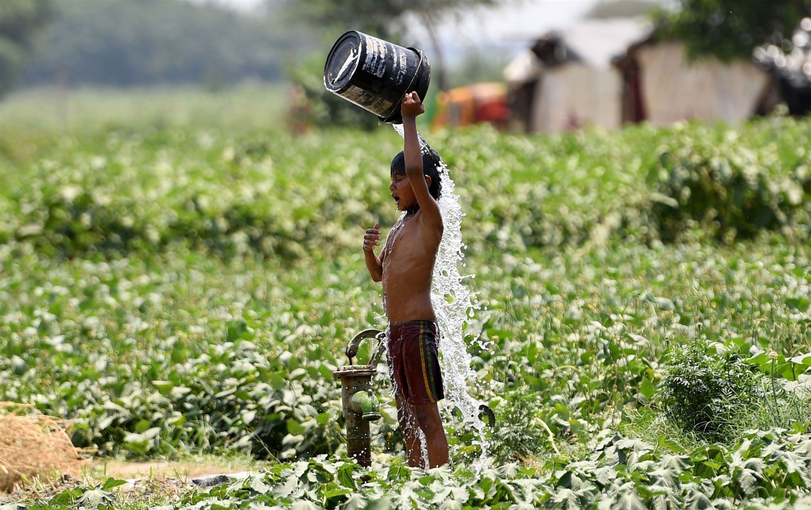 Nắng nóng gia tăng liên tục tại Ấn Độ