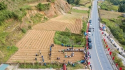 sapa lao cai phat trien vung cay duoc lieu chat luong cao huong den thi truong trong nuoc va quoc te