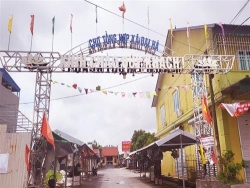 cho tong hop dai ha nghiem tuc thuc hien ket luan thanh tra thao go vuong cho doanh nghiep