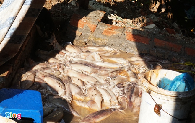 Mực k&amp;amp;eacute;m chất lượng được l&amp;amp;agrave;m mới