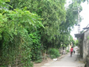 shock nu sinh 9x ha noi bi bac ho ep lam no le tinh duc 3 nam