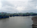 nghe an hoan nhieu cuoc hop de tap trung ung pho bao so 10