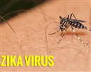 phat hien benh nhan nhiem virus zika dau tien o vinh long