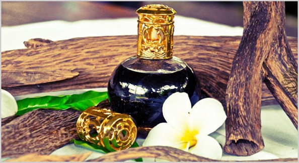 Top 5 loại tinh dầu massage được ưa chuộng nhất hiện nay