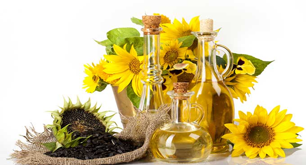 Top 5 loại tinh dầu massage được ưa chuộng nhất hiện nay