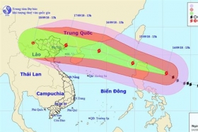 pho thu tuong trinh dinh dung yeu cau cac dia phuong khan truong trien khai phuong an doi pho voi sieu bao mangkhut