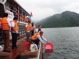 tha hon 6 van ca giong tai tao nguon loi thuy san ho hoa binh