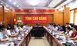 nganh y te tinh cao bang day manh phong trao giam thieu chat thai nhua huong toi xay dung co so y te xanh sach dep