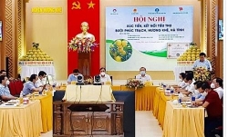 so cong thuong ha tinh lua chon them 8 loai dac san dia phuong ban tren san thuong mai dien tu