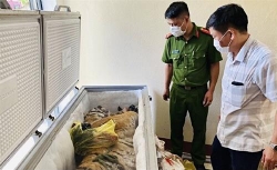 ha tinh khoi to vu an hinh su vi pham quy dinh bao ve dong vat quy hiem