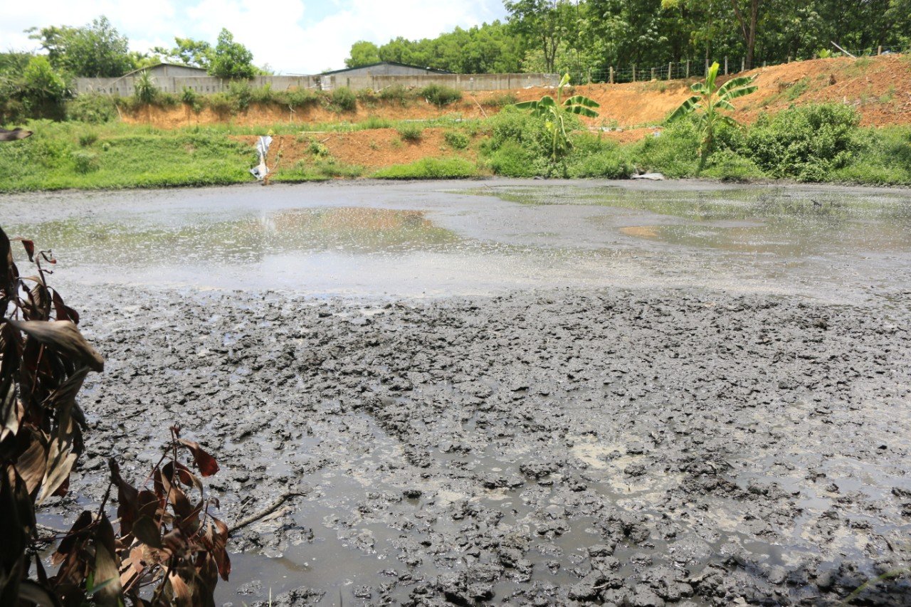 Xã Hà Linh, Hương Khê, Hà Tĩnh: Trại chăn nuôi lợn gây ô nhiễm môi trường