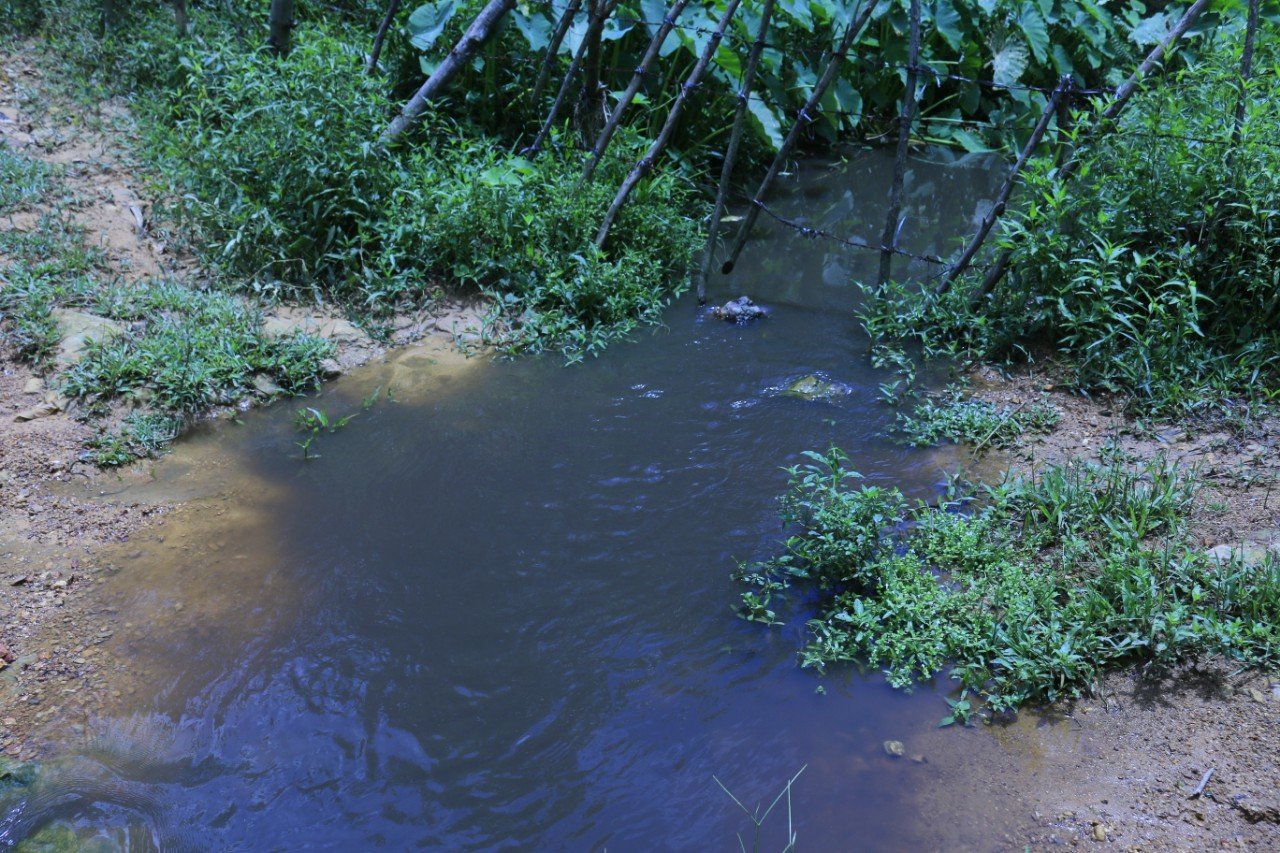 Xã Hà Linh, Hương Khê, Hà Tĩnh: Trại chăn nuôi lợn gây ô nhiễm môi trường