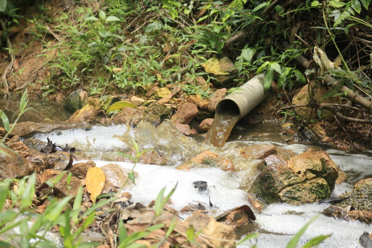 Xã Hà Linh, Hương Khê, Hà Tĩnh: Trại chăn nuôi lợn gây ô nhiễm môi trường