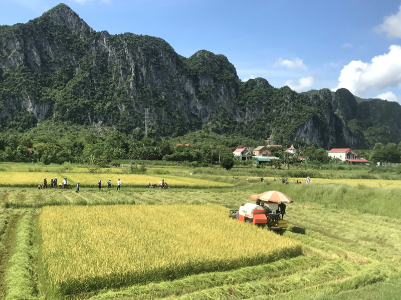 Quảng Bình: Nỗ lực của cán bộ và nhân dân trong thực hiện mục tiêu Nông thôn mới