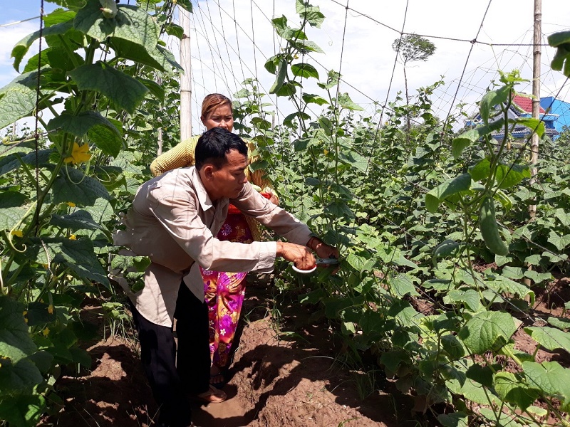 Bà con Khmer Sóc Trăng đã đón lễ Sene Đôn Ta vui tươi, đầm ấm