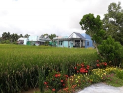 ba con khmer soc trang da don le sene don ta vui tuoi dam am