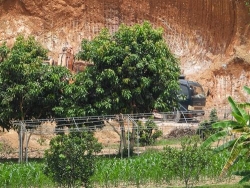 ha tinh anh huong moi truong va that thoat tai nguyen tu hoat dong khai thac dat khong phep