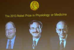 ba giao su chia nhau giai nobel y hoc