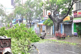 hi nh a nh bao so 11 hoa nh ha nh ta i da nang