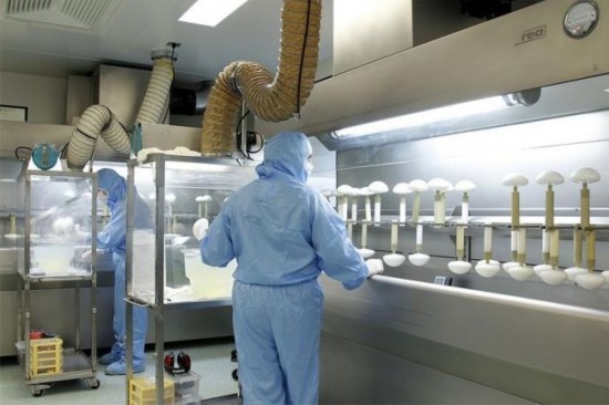 Bên trong nhà máy sản xuất túi ngực silicon
