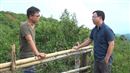 tong cuc dia chat va khoang san viet nam chi ra nhieu sai pham cua doanh nghiep khai thac vang o hoa binh