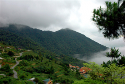 vinh phuc pha rung phong ho xay sieu nghia trang khong dung la vi pham luat