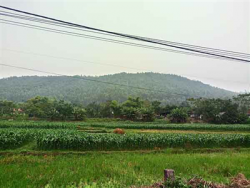 du an nghia trang vinh phuc dung lai hay chieu bai danh trao khai niem