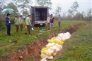 quang binh tieu huy hon 1 tan dam bong khong dam bao ve sinh an toan thuc pham