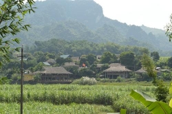 sau dam co tram nay 35 nguoi nhap vien
