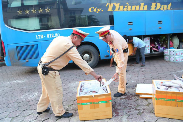 Hà Tĩnh: Bắt giữ 1 tấn thịt mèo không có giấy tờ, nguồn gốc
