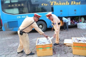ha tinh bat giu 1 tan thit meo khong co giay to nguon goc